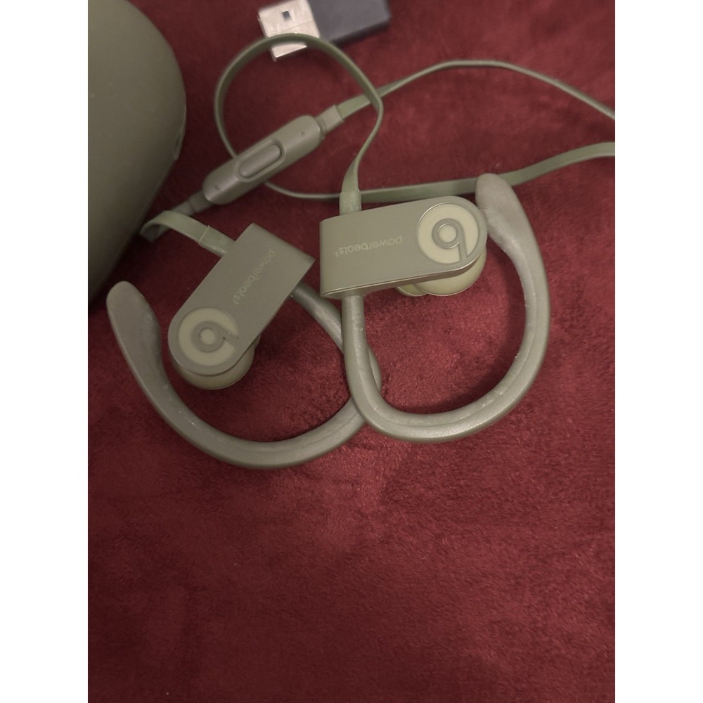 Beats by Dr. Dre Powerbeats3 Wireless In-Ear Headphones - Turf Green